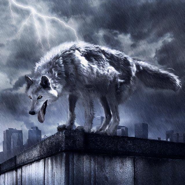 网店设计师(2021电商设计前景如何，是不是快要饱和了？)