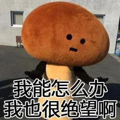 个人大数据如何查询网贷大数据多久清一次(申请太多贷款，大数据花了多久能恢复？)