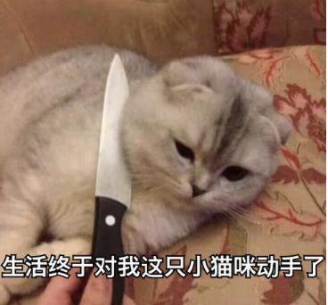 怎么看体温计是不是坏了(最近你为啥总怀疑体温计坏了？)