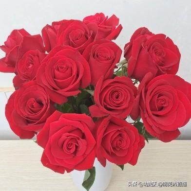 鲜花一件代发好货源(云南鲜花一件代发哪家强？为何越来越多的花店此时选择团购代发)