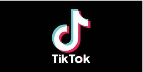 (抖音海外版在中国怎么用)国内用户怎么去使用Tik Tok？