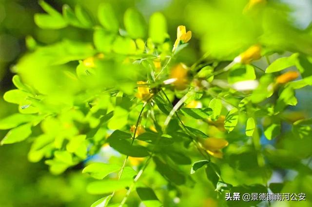 无觅处的诗(诗词丨66首惊才绝艳的古诗词，终于找全了，值得永久收藏！)