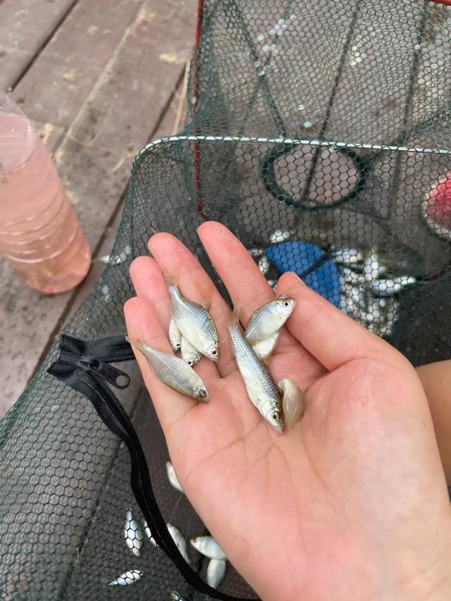 工资不高但清闲的工作要不要换掉(很想换工作，但是没有勇气，不知道大家都是怎么熬过来的)