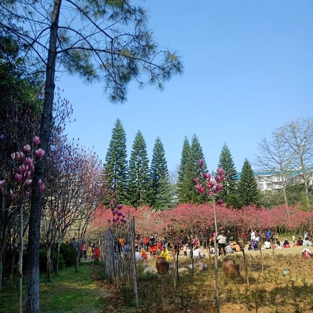 短视频变现真的赚钱吗(说说抖音挣钱变现的坑)