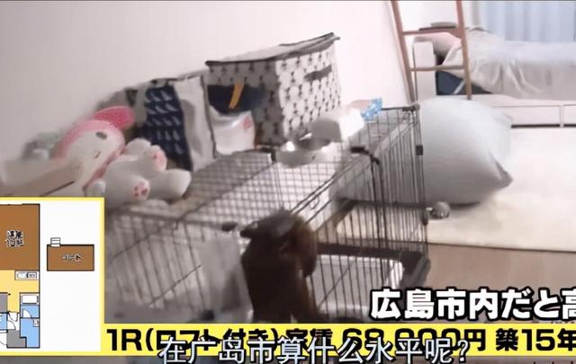 68000日元等于多少人民币(日本渣男将妻子备注成妈妈，欺骗清纯系美女)