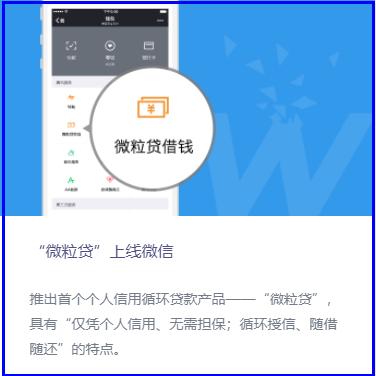 微粒贷额度一般多少算高(微粒贷：你贷还是不贷？日息万分之4.5高不高？)