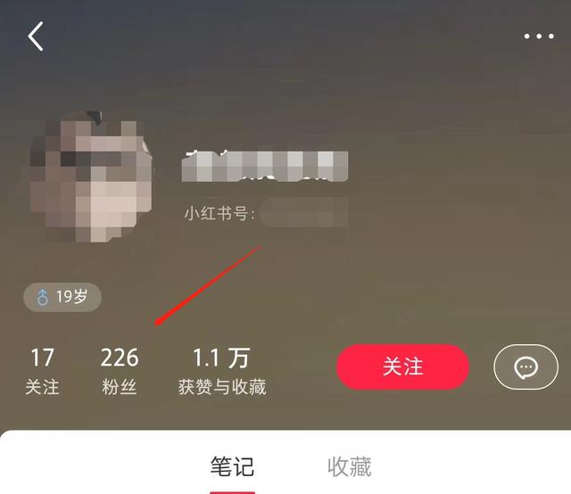 小红书账号注销后还能重新申请吗(小红书总是出现违规是什么原因造成的，下面就来告诉你)
