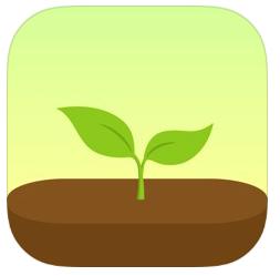 forest专注森林怎么玩(AppStore今日分享 培育专注提高效率的应用 Forest专注森林)