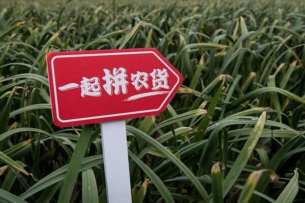 个人拼多多开店需要什么条件(拼多多开店条件全面解析)