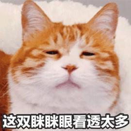 手机怎么截取电影一段发快手(手机怎么剪视频？原来只要这么做就好了，以前不知道真可惜)