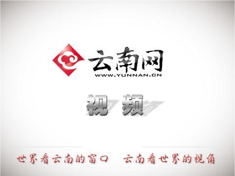 昆明淘宝培训学校(阿里巴巴淘宝大学云南（东盟）数字商业人才孵化基地在中国（云南）自由贸易试验区昆明片区揭牌)
