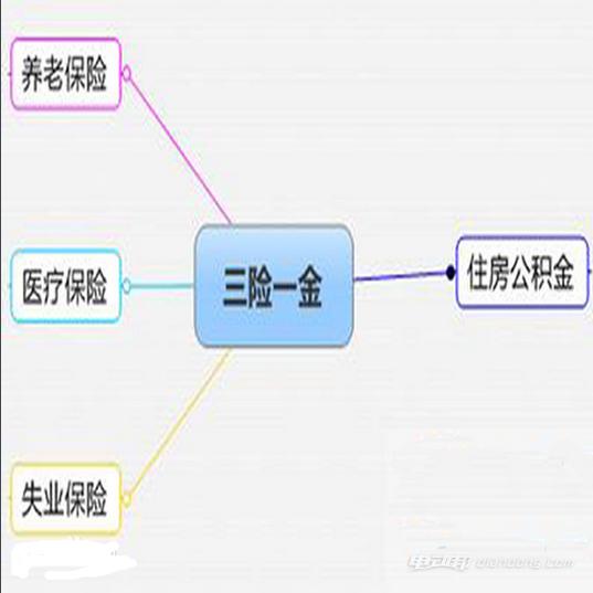 三险指哪三险?(你能准确说出三险指什么吗？)