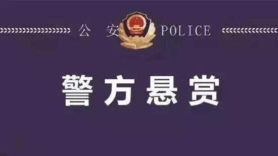 网上在逃犯查询(A级通缉令！看到这50人请立即报警，每人悬赏10万元)