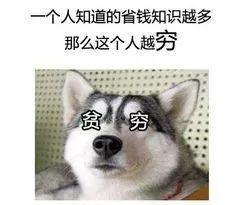 袜子批发厂家纯棉(“阿里巴巴”购物攻略！2块钱批发手机壳，太爽了)