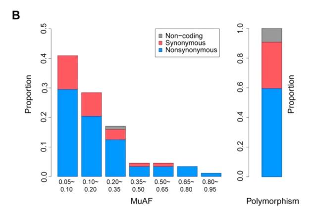 批次效应(新研究：新冠患者病毒存在快速进化风险，需更多序列追踪进化)