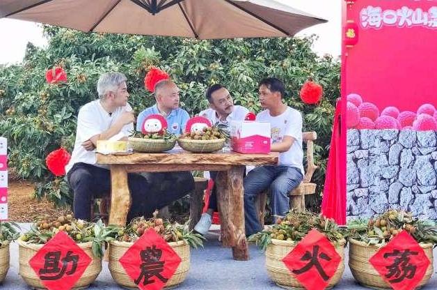 火山短视频带货(海口市长为火山荔枝“直播带货”交易300万斤)