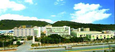 公司简介范文简短(信和新材料股份有限公司简介)
