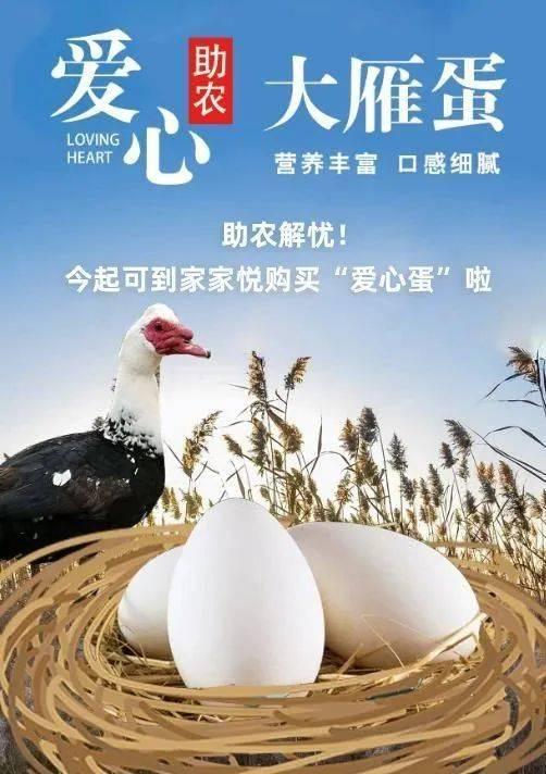新蛋商城app(助农解忧！今起可到家家悦购买“爱心蛋”啦)