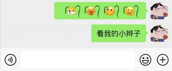 微信隐藏表情符号(微信小辫子表情快捷指令设置教程 扎了两个小辫子的圆表情符号大全)