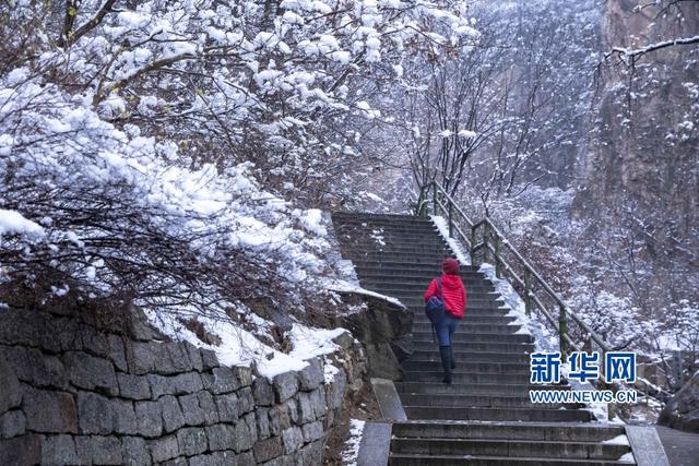 妆点app下载(青岛北九水：皑皑白雪妆点童话世界)