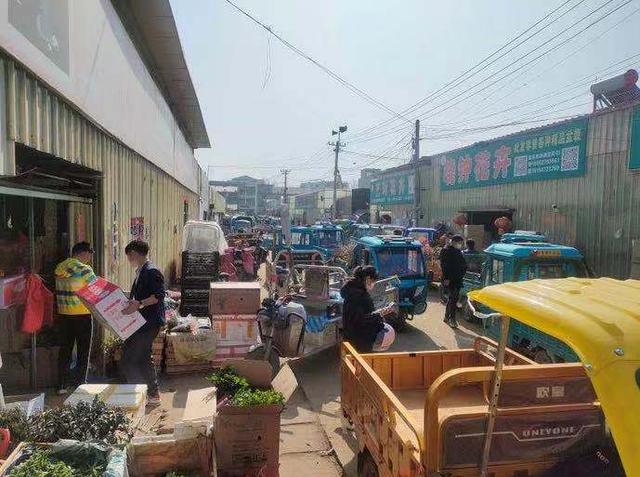 淘宝网花卉(精准打击网购花木骗局，当走出屡禁不止“怪圈”)