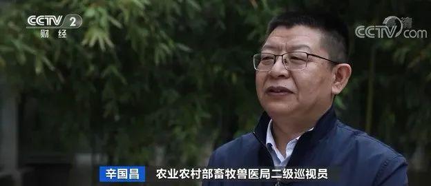 中央7致富经养猪,把猪肉卖到最高价(猪肉价格，15周连降！一公斤便宜了20元！存栏量“19连涨”，养猪还赚钱吗？)