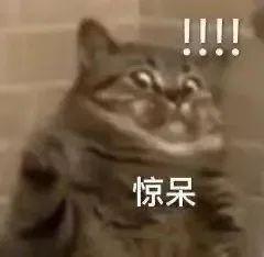 天猫网上商城漳州片仔癀价格差异(1300元一粒的片仔癀，究竟有多“神”？)