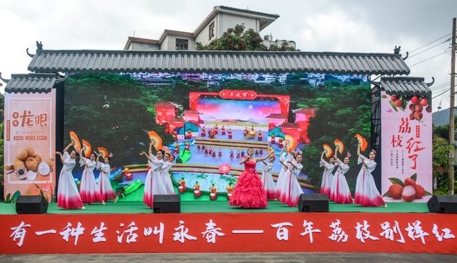 荔枝干批发是不是在福建市场批的(第十九届中国（福建）荔枝龙眼产销对接活动在永春举行)