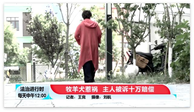 北京 狗咬人(北京一女子遭德国牧羊犬咬伤，宠物狗也被咬死)