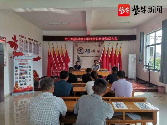 村级财务审计主要审计什么(阜宁县新沟镇多措并举抓实村级财务审计)