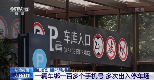 褥羊毛啥意思羊毛(“薅羊毛”可能违法！三个案例告诉你请不要耍“小聪明”)