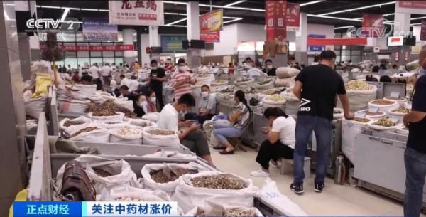 药材种植利润(中药材大规模涨价！涨幅达200%！“有钱也拿不到货”？！怎么回事？)