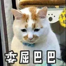 不是本人的车怎么查违章12123(别人开我的车违法了，分记在谁的驾驶证上？)