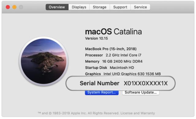 苹果序列号怎么看产地(紫色 iPhone 12 推出后，苹果为什么换用随机序列号？)