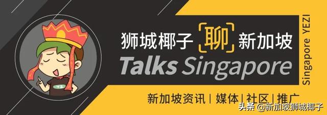 ysl官网女包图片报价(新加坡大牌折扣季，名牌包FURLACHLOEMCM低至5折)