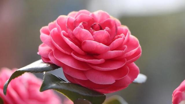 美册视频制作教程怎么把人弄上去(这样制作一人变多人视频，又快又好)