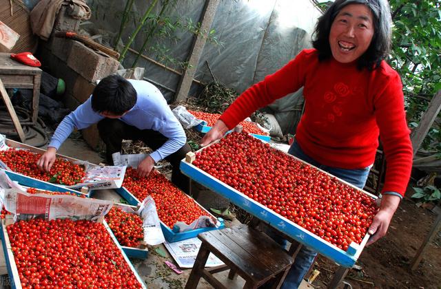 热卖地摊货(往年高攀不起，今年沦为地摊货，3种水果上榜，经历了什么？)