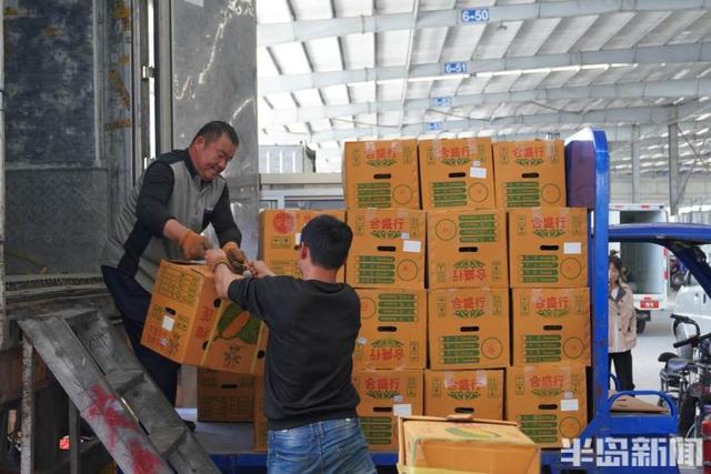 广州水果批发市场榴莲价格(爱“莲”说①｜日销240万斤，全城谈“莲”爱！青岛何以跻身北方最大榴莲集散地？)