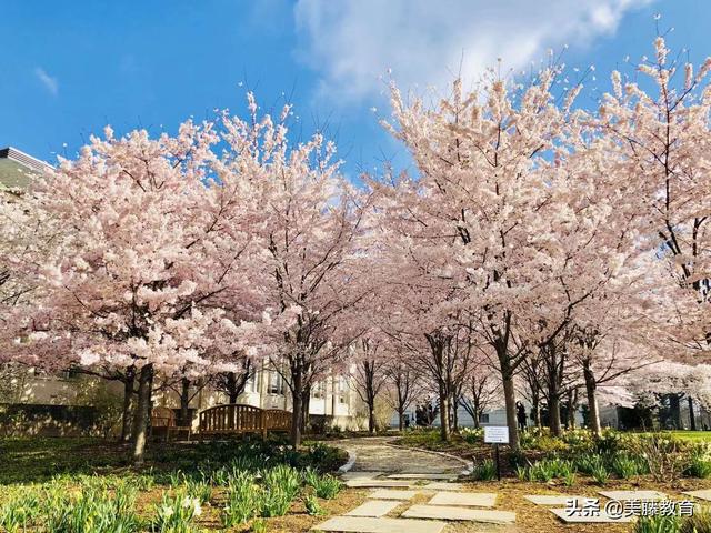 马里兰大学(为什么美国马里兰大学帕克分校吸引了这么多中国留学生？)