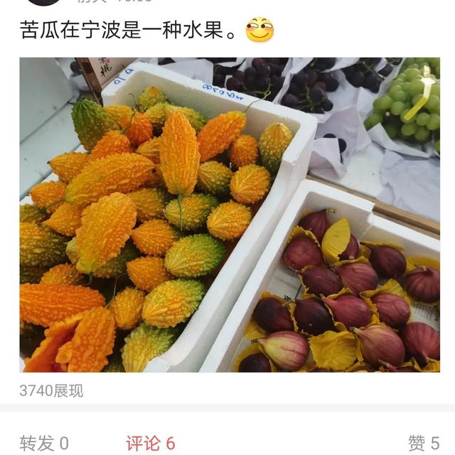 宁波开水果店生意好做吗(在宁波水果店遇见苦瓜)