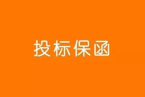 投标保证金保函怎么开(什么是投标保函？投标保函常见的问题有哪些？)