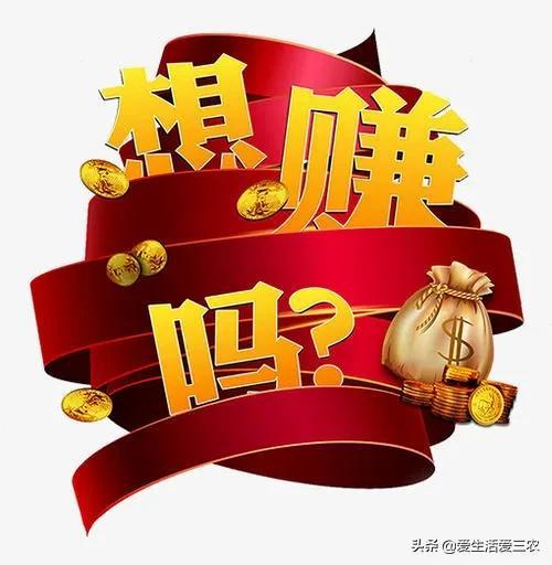农村种植养殖业有什么项目(有地的农村人看过来，这些特色种植项目适合你，年入十万不是梦)