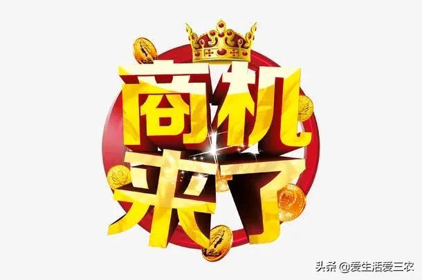 小本赚钱项目(小生意赚大钱，你想不到的这些小生意，也能赚大钱)