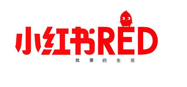 小红书网页版搜索(小红书基础知识：新手须知小红书注意事项及规则篇（4）)