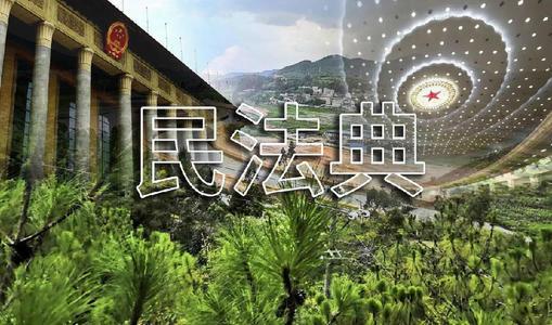 40万财产保全费用(《民法典》关于合同保全的规定及影响)