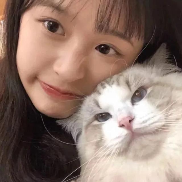 怎么设置自动回复qq信息(给对象设置的“自动回复)