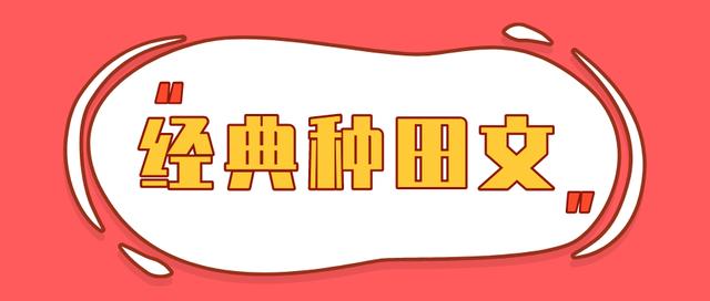 新妇难为天如玉(老文回顾｜十年盘点！经典BG种田文推荐)