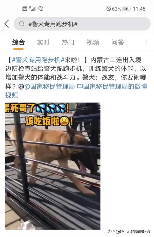 最快最有效的减肥瑜伽(秋冬易胖如何快速掉秤？10分钟超燃瑜伽序列，每周3次轻松瘦)