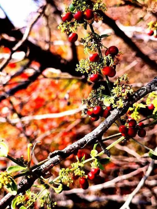 外贸公司都是怎么找货的(从找客户到出单及返单的全过程分享-外贸)