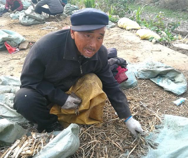 金元宝图片(天津老汉捡到11个金元宝，发现英雄之墓，专家：不好意思必须上交)